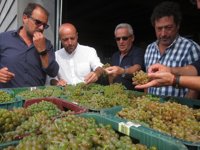 Villares reta a Feijóo a debatir para demostrarle que no es un "candidato blando"