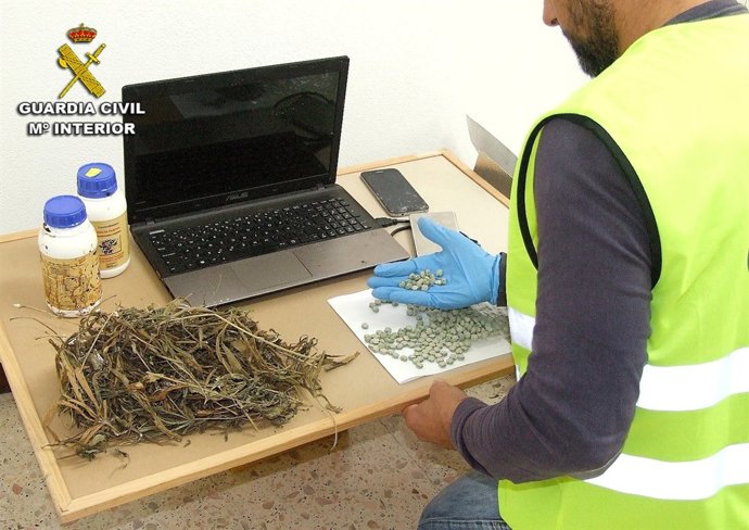 REMITO NOTA DE PRENSA