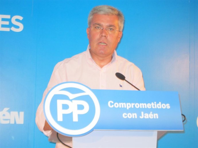 José Enrique Fernández de Moya durante la rueda de prensa