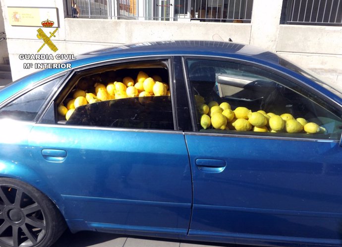 Guardia Civil desmantela un grupo dedicado a la sustracción de limones