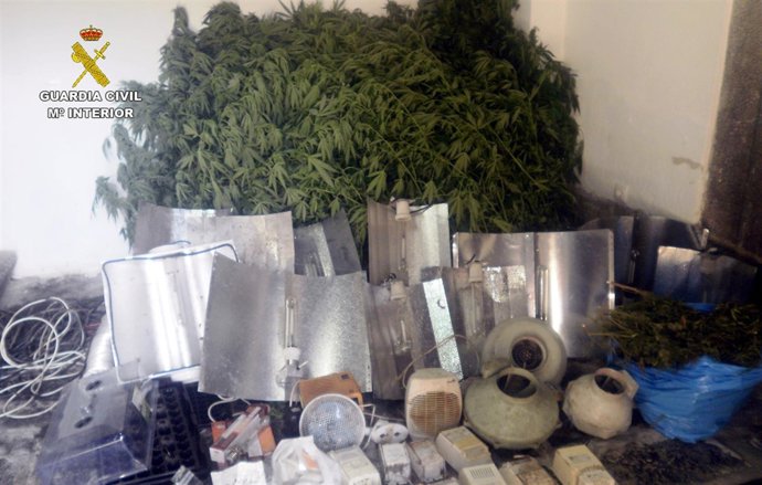 RDO. NOTA DE PRENSA GUARDIA CIVIL (UN DETENIDO POR SUSTRACCION GANADO, PLANTACIO