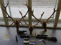 Interceptados en Zufre cinco cazadores furtivos que transportaban cabezas de venado