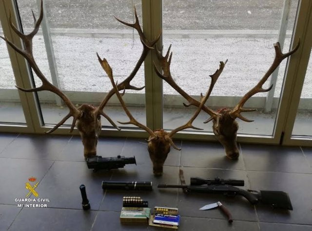 Cabezas de venado cazados por presuntos furtivos en Zufre (Huelva).