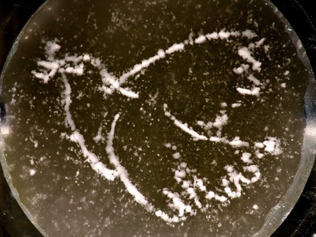 Primer holograma acústico