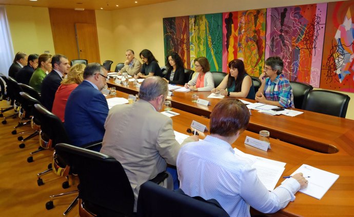 Reunión del Consejo de Cooperación al Desarrollo de CyL