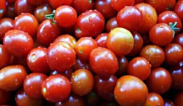 Tomates. 