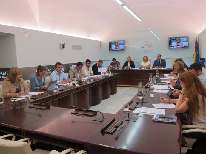 Comisión Acorex y Caja Rural 
