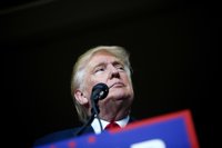 Un detenido por robar una estatua de Trump desnudo en Miami