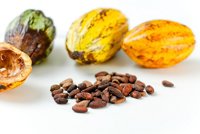 El cacao, el superalimento que protege el corazón
