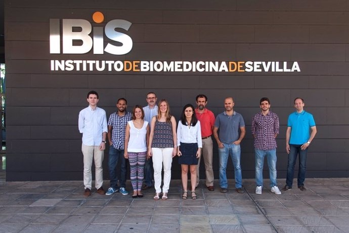 Grupo investigador del IBIS, copartícipe de un proyecto de la Aecc