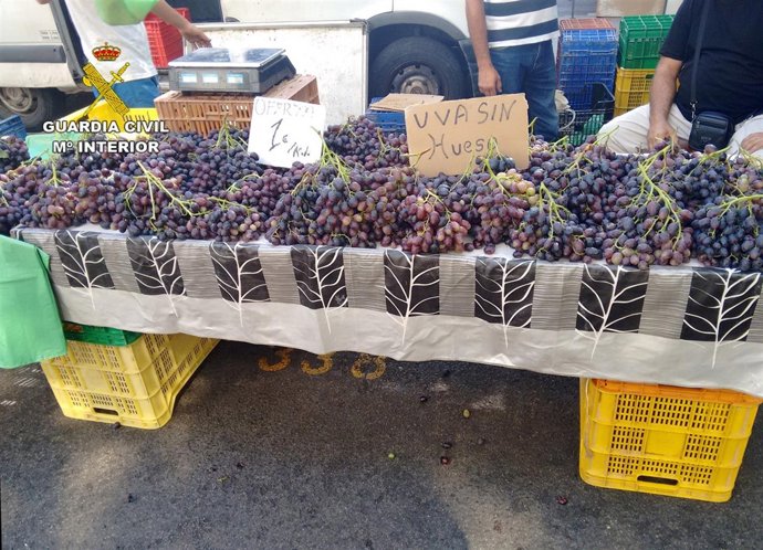 La Guardia Civil Detiene A Los Cinco Integrantes De Una Banda Dedicada A La Sust
