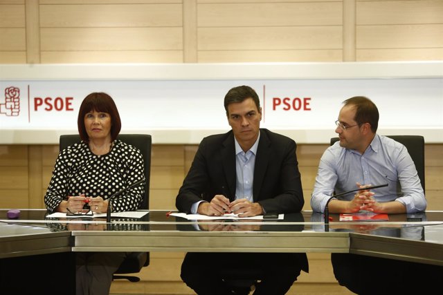 Pedro Sánchez preside la Comisión Permanente de la Ejecutiva Federal del PSOE