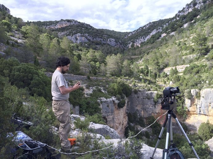 CAtalogación pinturas rupestres Valltorta-Gasulla