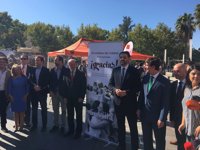 La Junta aboga por complementar provincias y por el turismo urbano frente a estacionalidad