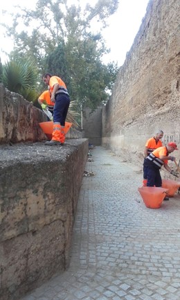 Actuación de Lipasam en la muralla de la Macarena.