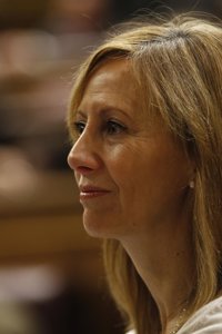 PP exige disculpas o dimisión al diputado de En Marea que llamó ignorantes a los gallegos