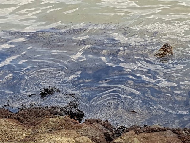 Derrame de crudo en la Bahía de Algeciras