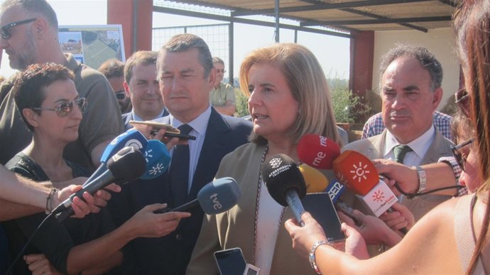 La ministra de Sanidad en funciones, Fátima Báñez.