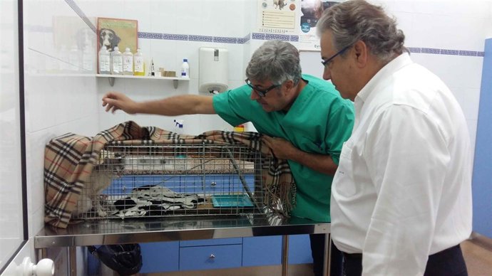 Zoido, en la protectora de animales