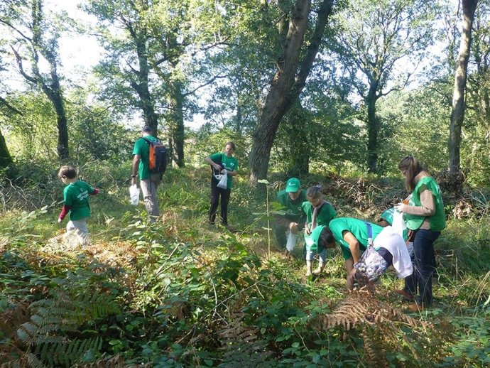 Voluntariado ambiental