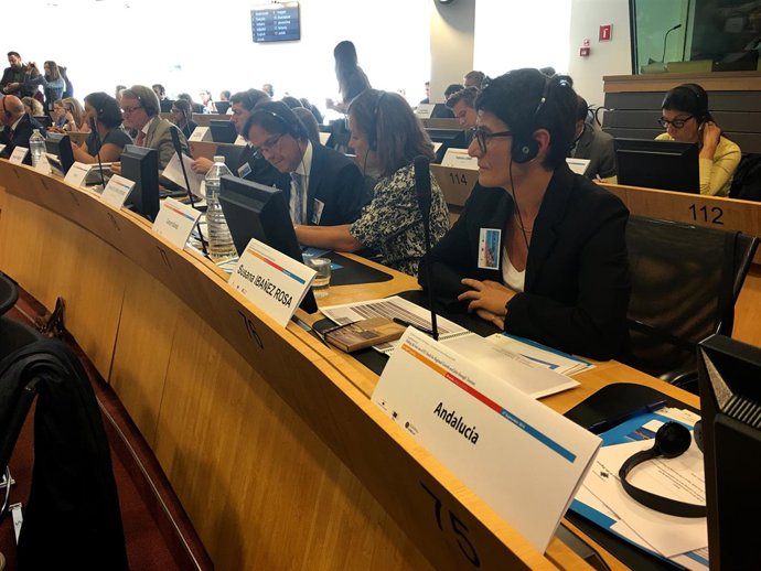 Susana Ibáñez, en el Comité de las Regiones de la unión Europea.