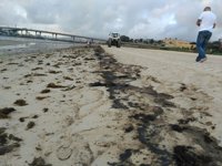 IU pedirá la comparecencia de Fiscal por el vertido en Algeciras