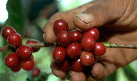 Cooperación y Desarrollo