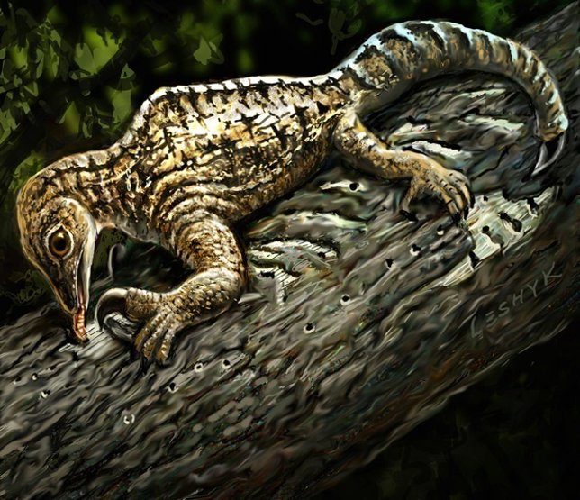  Drepanosaurus