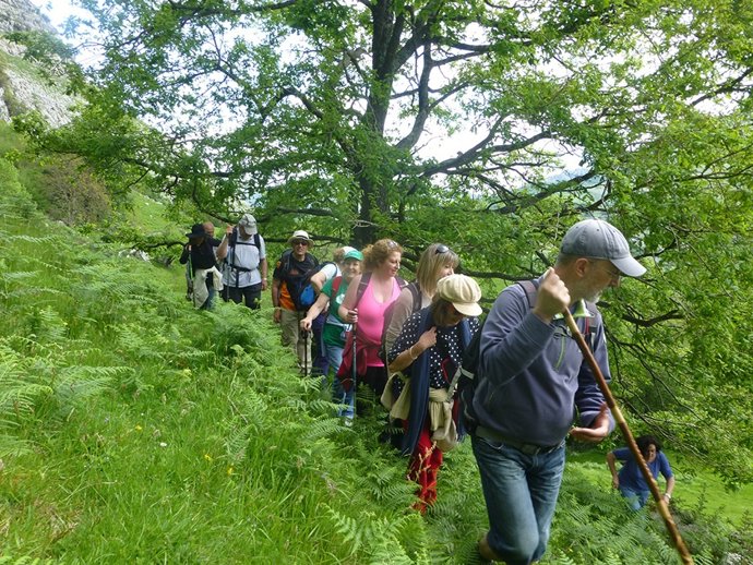 Salida a Arredondo, bosques, rutas, árboles