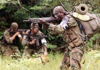 ¿Cuántos miembros tiene las FARC en la actualidad?