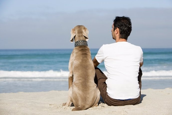 Perro, dueño, animal doméstico, playa