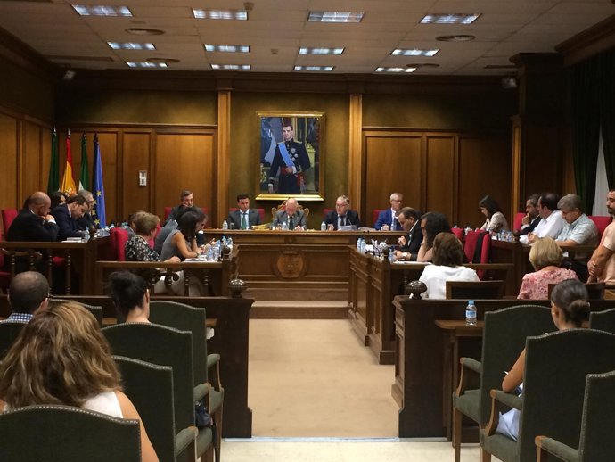 El pleno aprueba la concesión de las Medallas de Oro de la Provincia 2016.