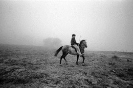 Imagen de exposición 'Hijos del Monte'