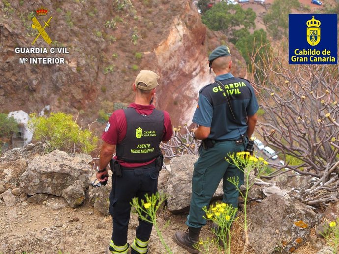 El Cabildo de Gran Canaria y Guardia Civil detectan a 11 cazadores furtivos