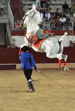 Espectáculo ecuestre 