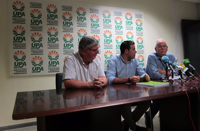 Miguel Cobos, Cristóbal Cano e Ignacio Senovilla en la rueda de prensa.