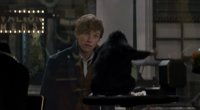 David Yates: Lo mejor de Animales fantásticos y dónde encontrarlos es que nadie la ha leído