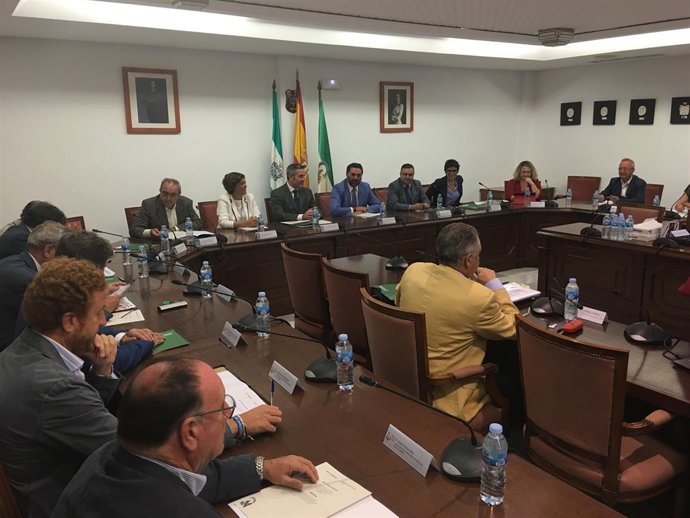 Mesa del Turismo mijas plan de choque consejero turismo 