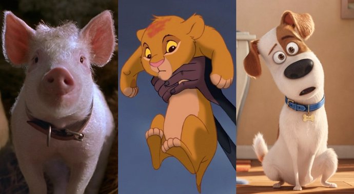 Babe, Simba, Mascotas