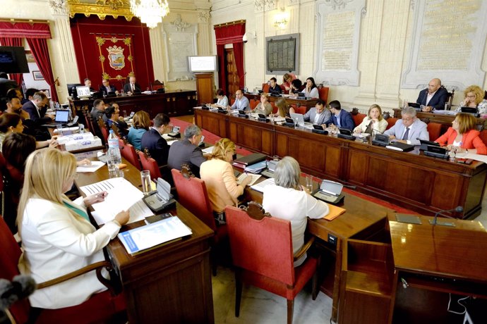 Pleno de mayo del Ayuntamiento de Málaga segunda sesión
