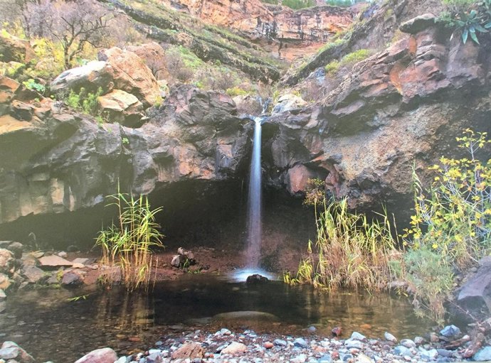 Imagen de Gran Canaria