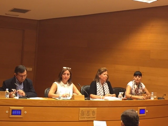 Fotos Comision Feria