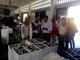 Visita de Bendodo, Mula y Carmona a las instalaciones de la lonja de Fuengirola.