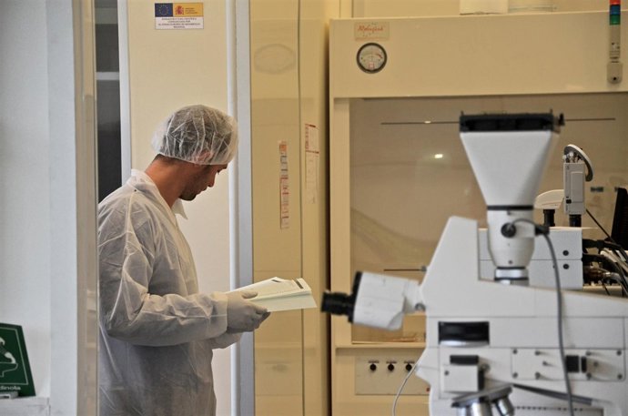 Investigación en la UPV