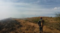 Un incendio en Azuara corta durante cerca de dos horas la carretera A-1506
