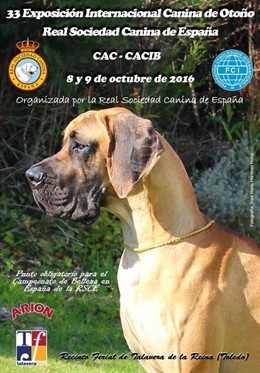Más De 3.500 Perros Se Darán Cita En La Exposición Internacional Canina De Otoño