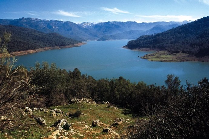 Nota De Prensa De La Consejería De Medio Ambiente Y Ordenación Del Terrritorio