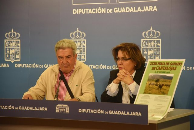 Rueda de prensa