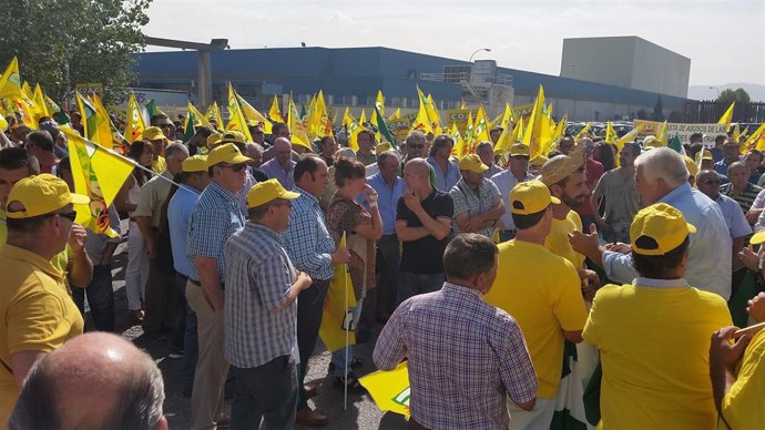 Concentración de COAG-A.