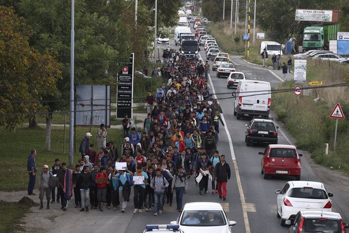 Cientos de refugiados se dirigen hacia la frontera húngara en Belgrado, Serbia.